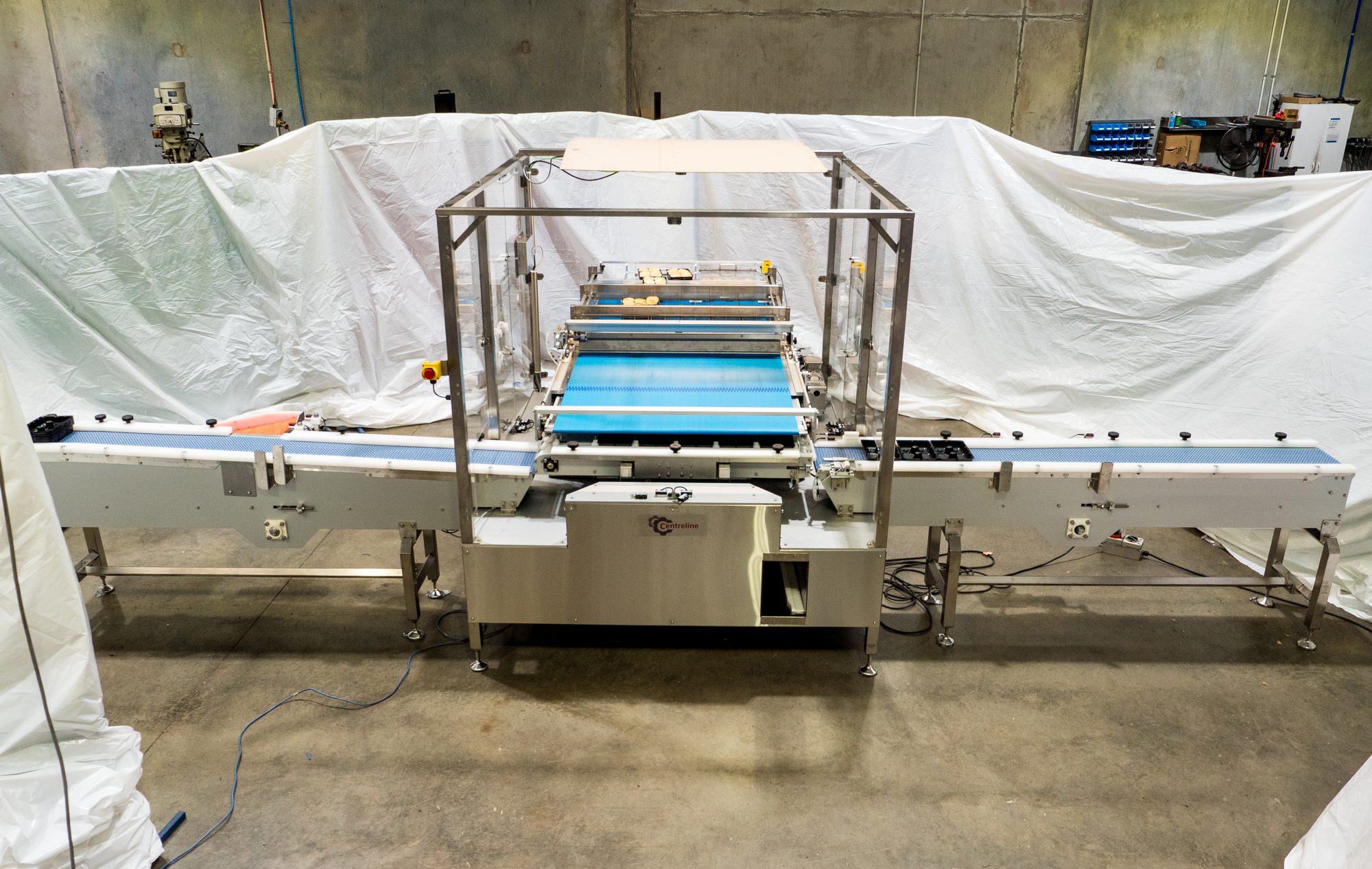 Pie packing machine with its infeed and outfeed conveyors