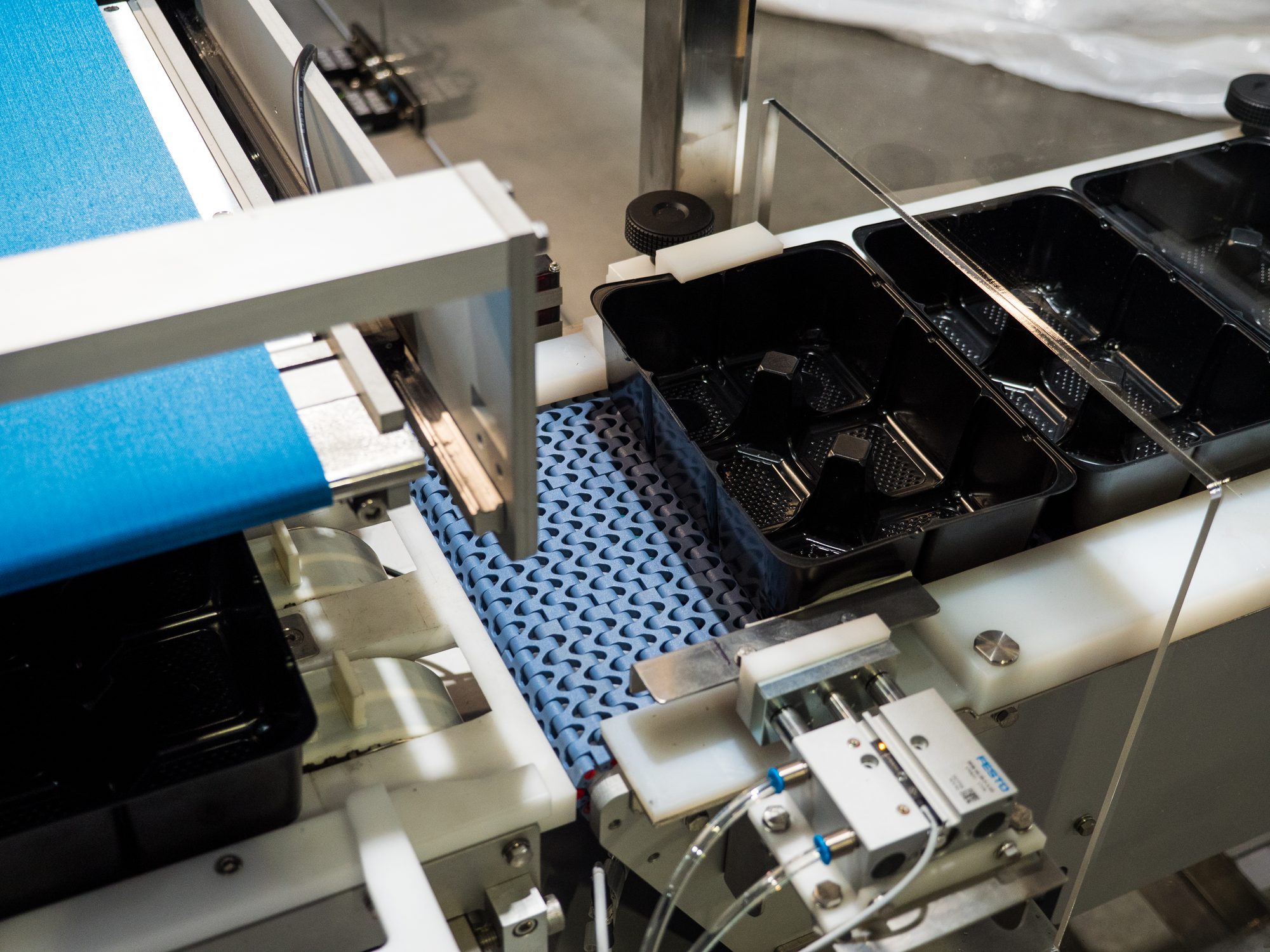 Empty pie trays waiting on the tray conveyor