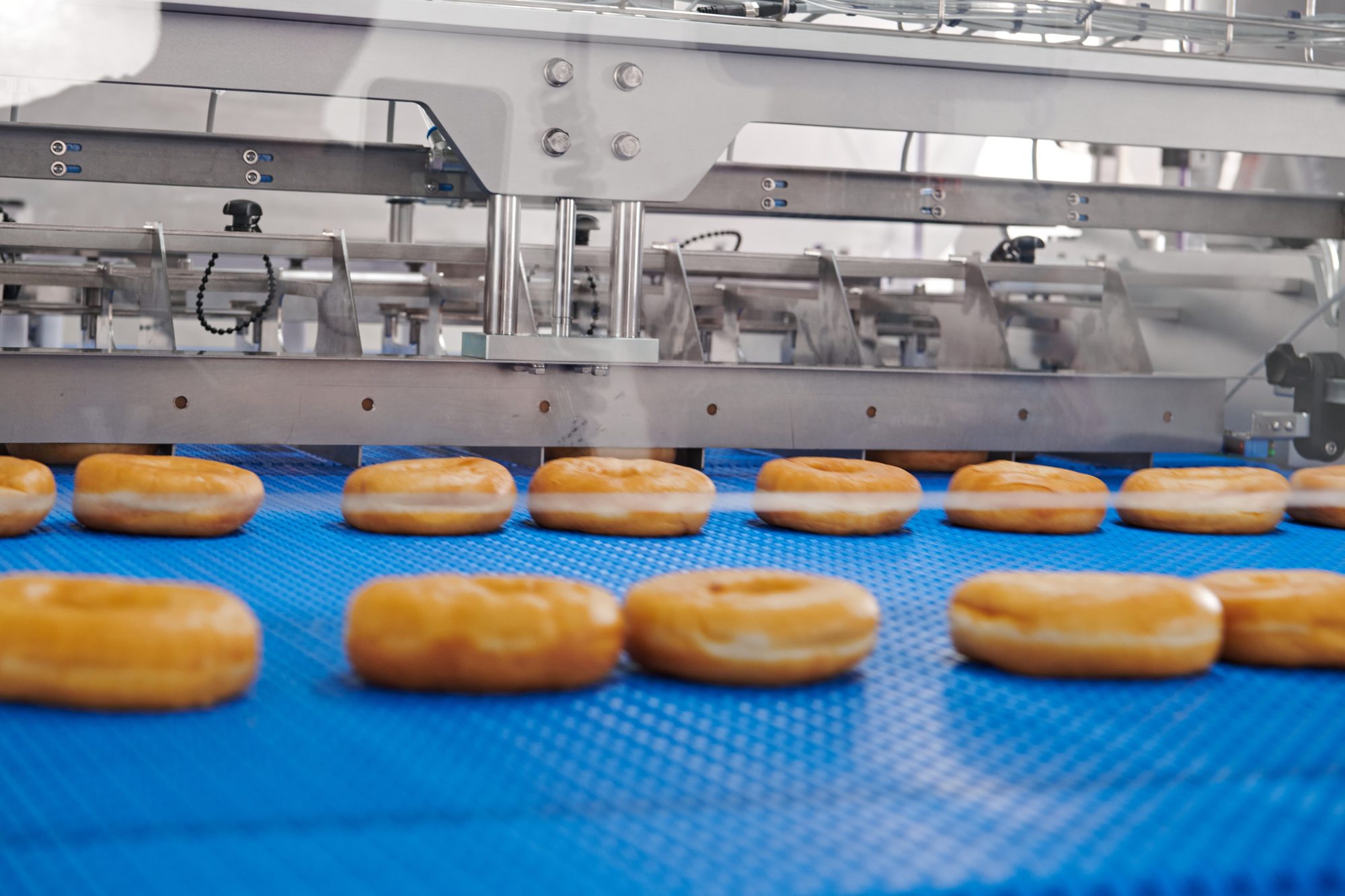 Straight rows of donuts leaving the gate on the blue belt
